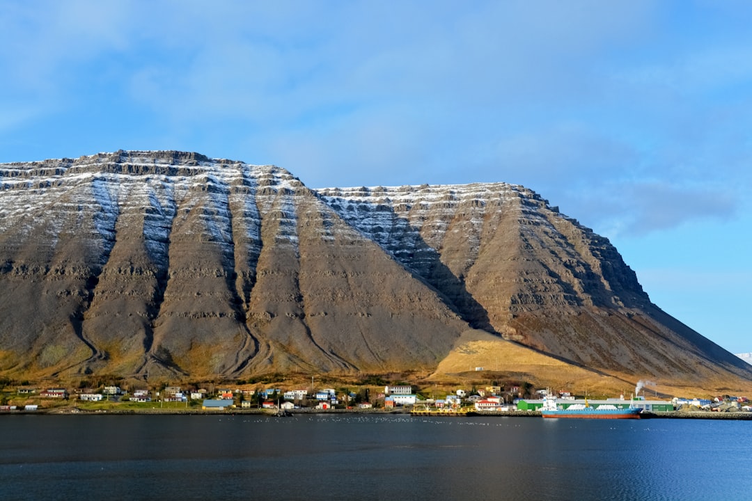 brown rock formation near body of water during daytime