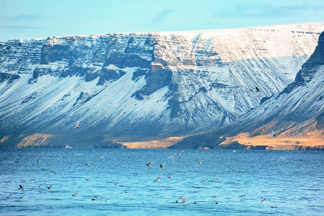 white and brown mountain near body of water during daytime