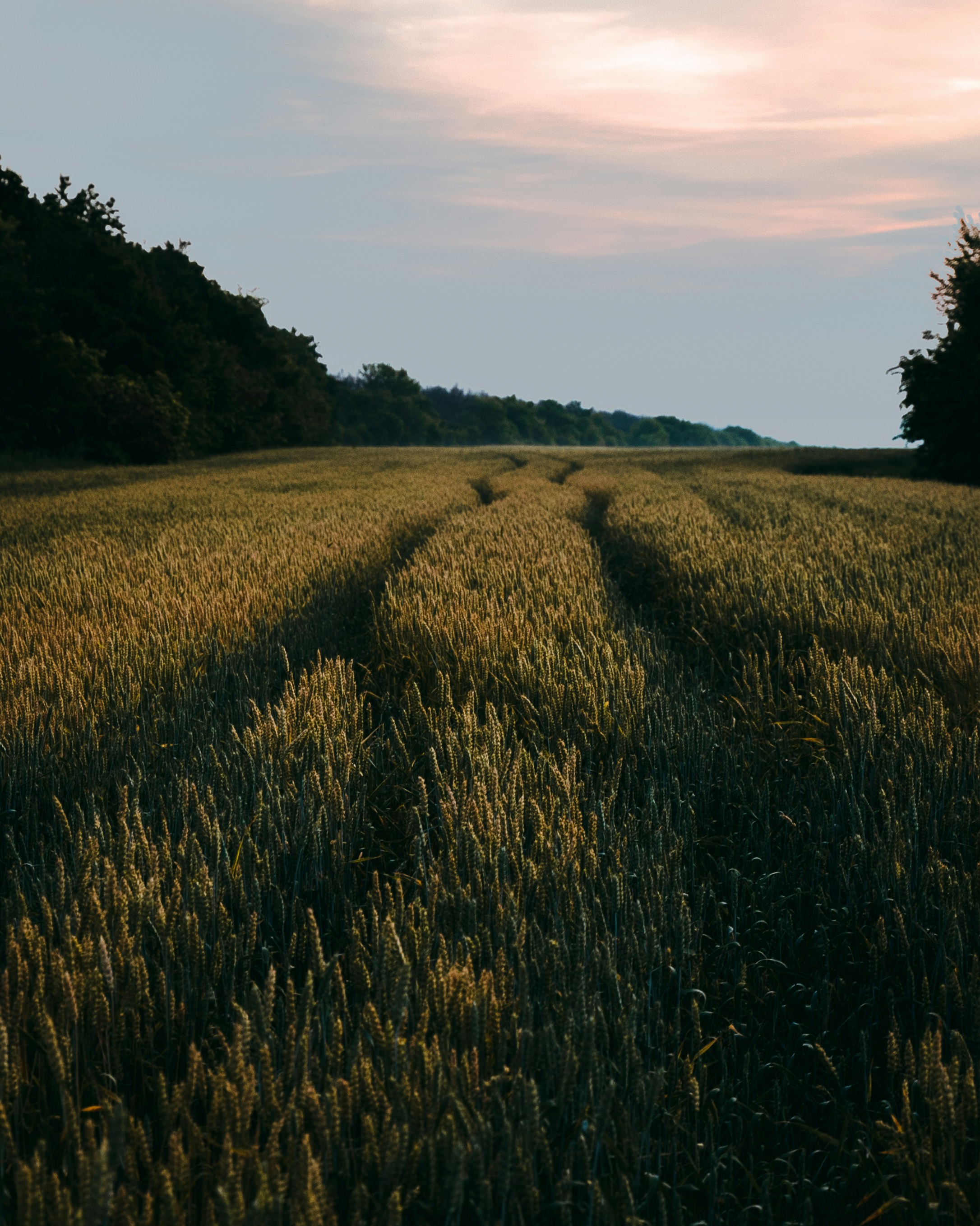 Photo by kirillpershin