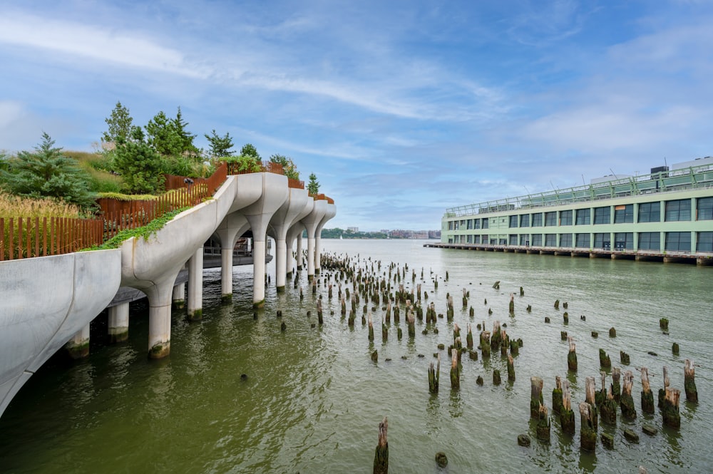 white concrete bridge over body of water during daytime