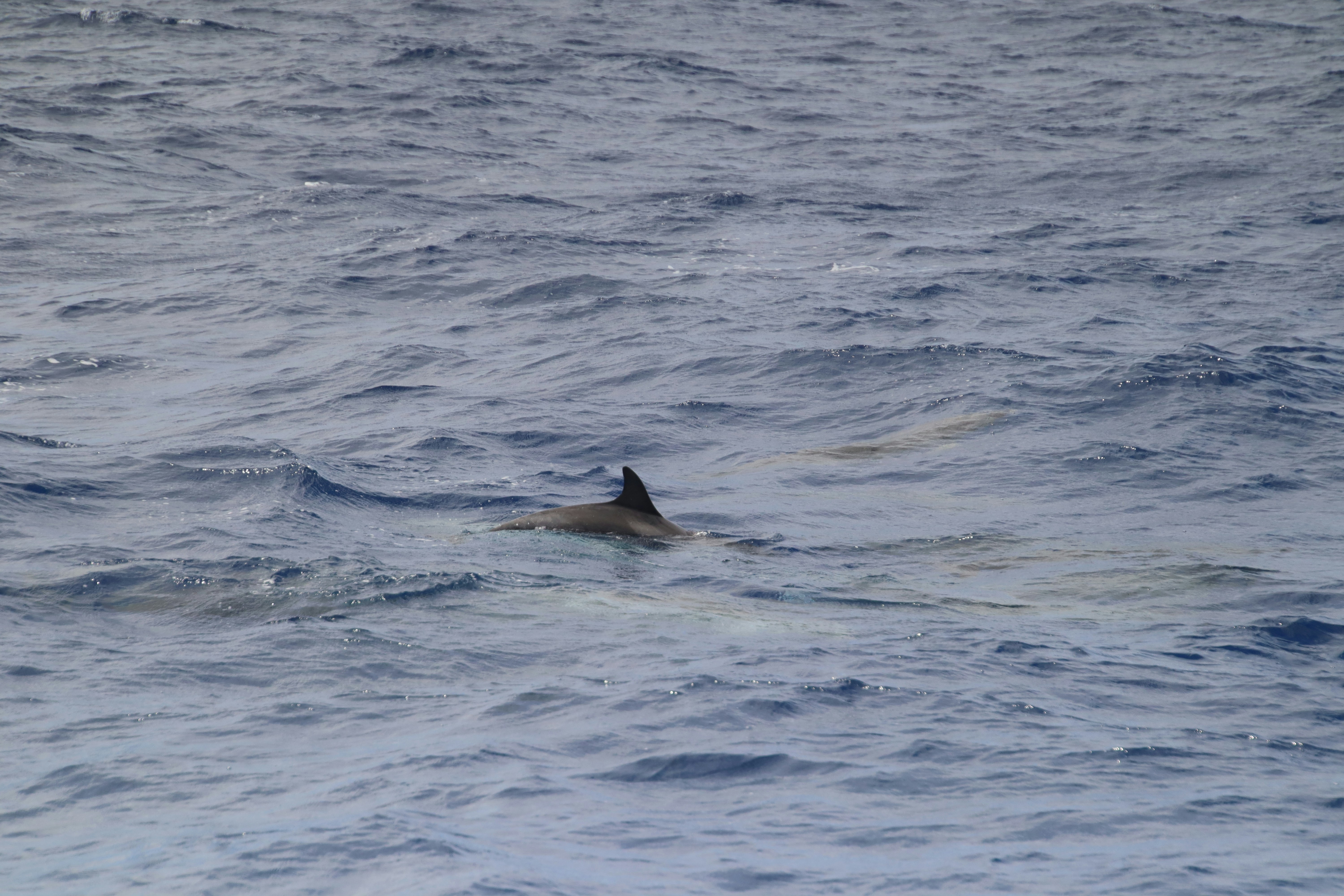 Photo by hotspotter1