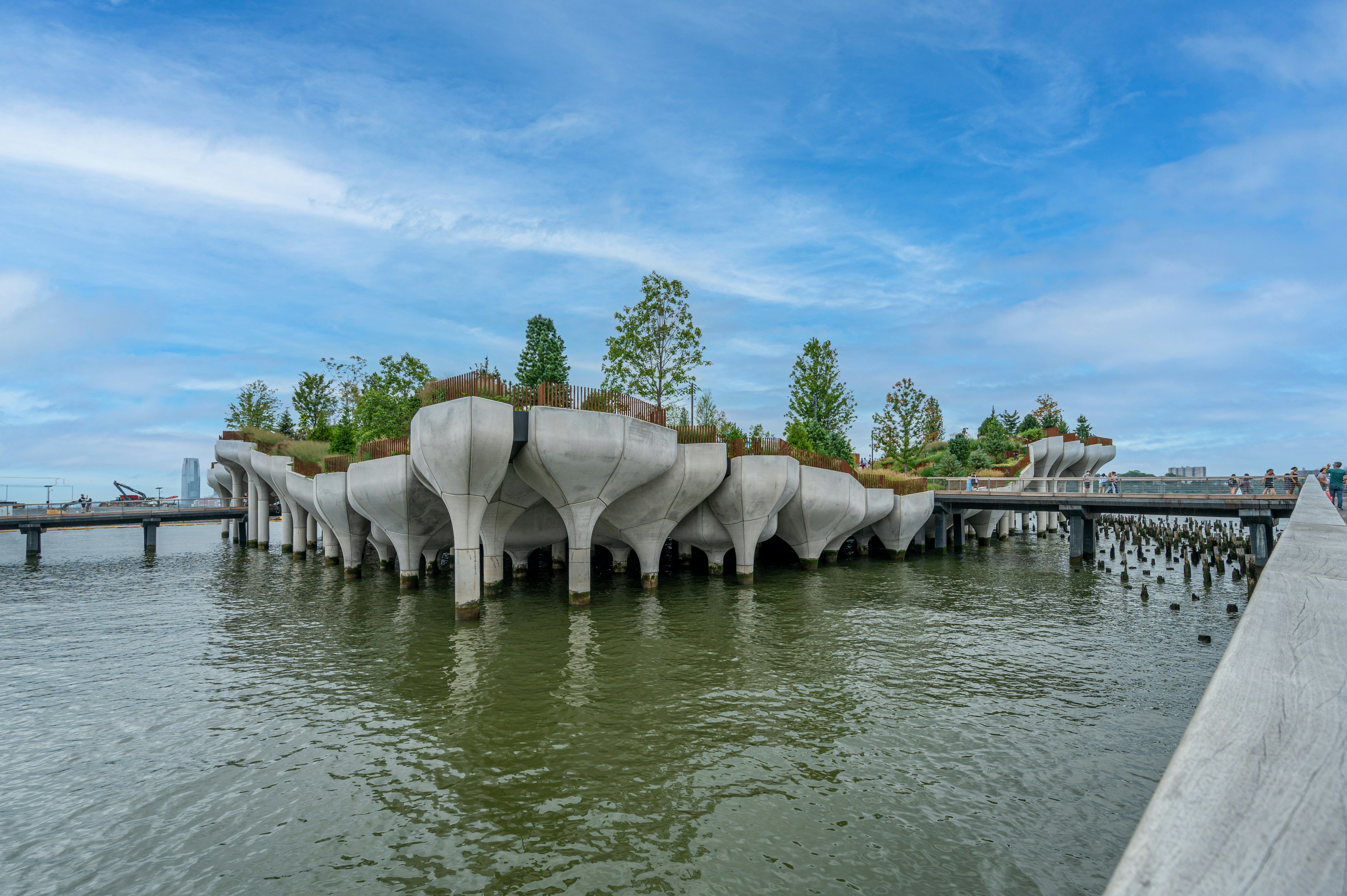green trees near body of water under blue sky during daytime