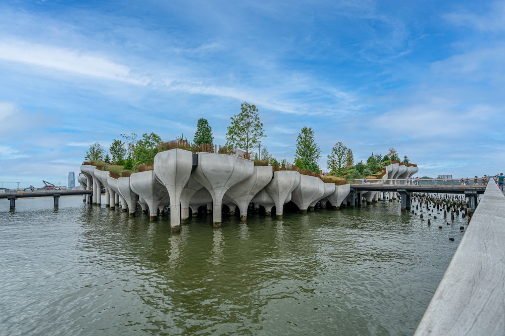 green trees near body of water under blue sky during daytime