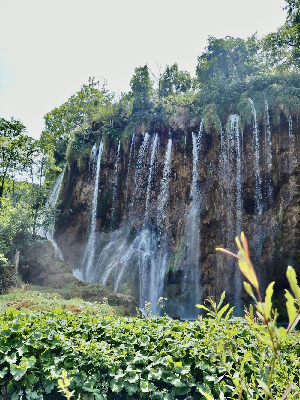 waterfalls in the middle of the forest