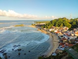 aerial view of city near sea during daytime