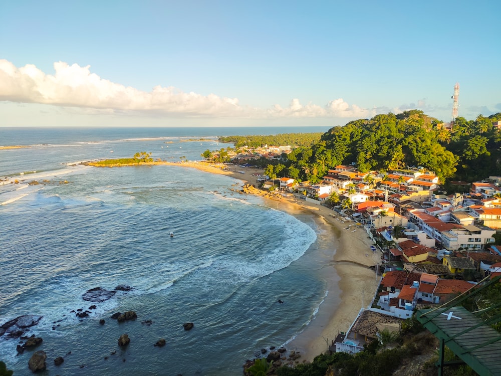 aerial view of city near sea during daytime