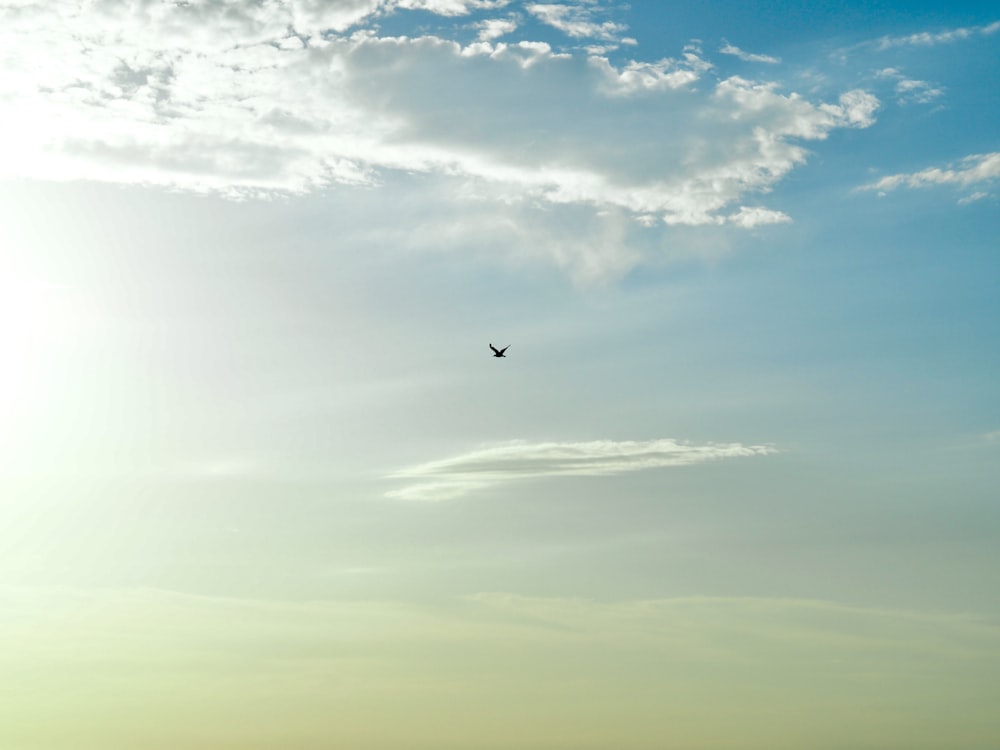 pássaro preto voando sob nuvens brancas durante o dia