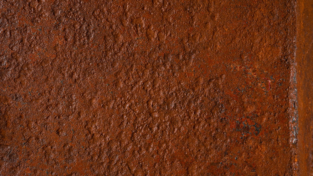 茶色と白のコンクリートの壁