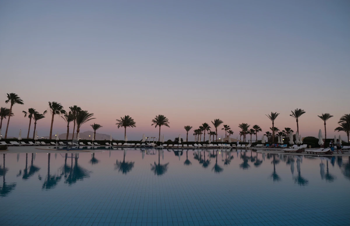 Palm trees beside calm lagoon water