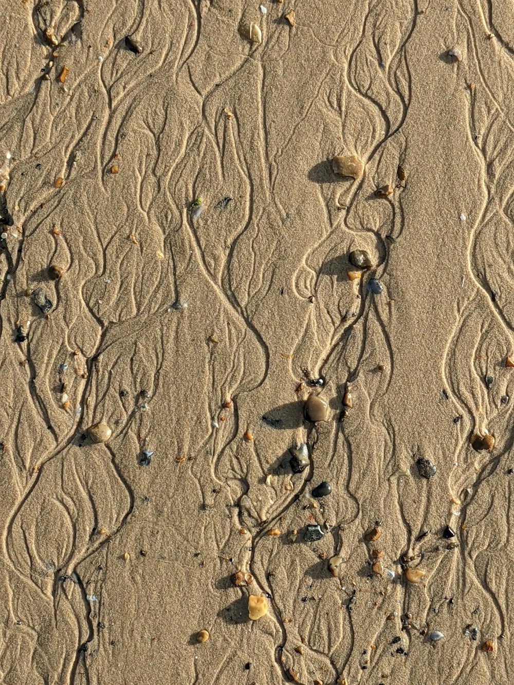 brown sand with footprints during daytime