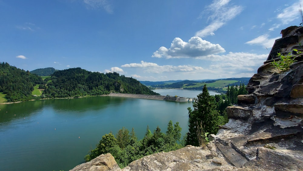 green lake surrounded by green trees under blue sky during daytime