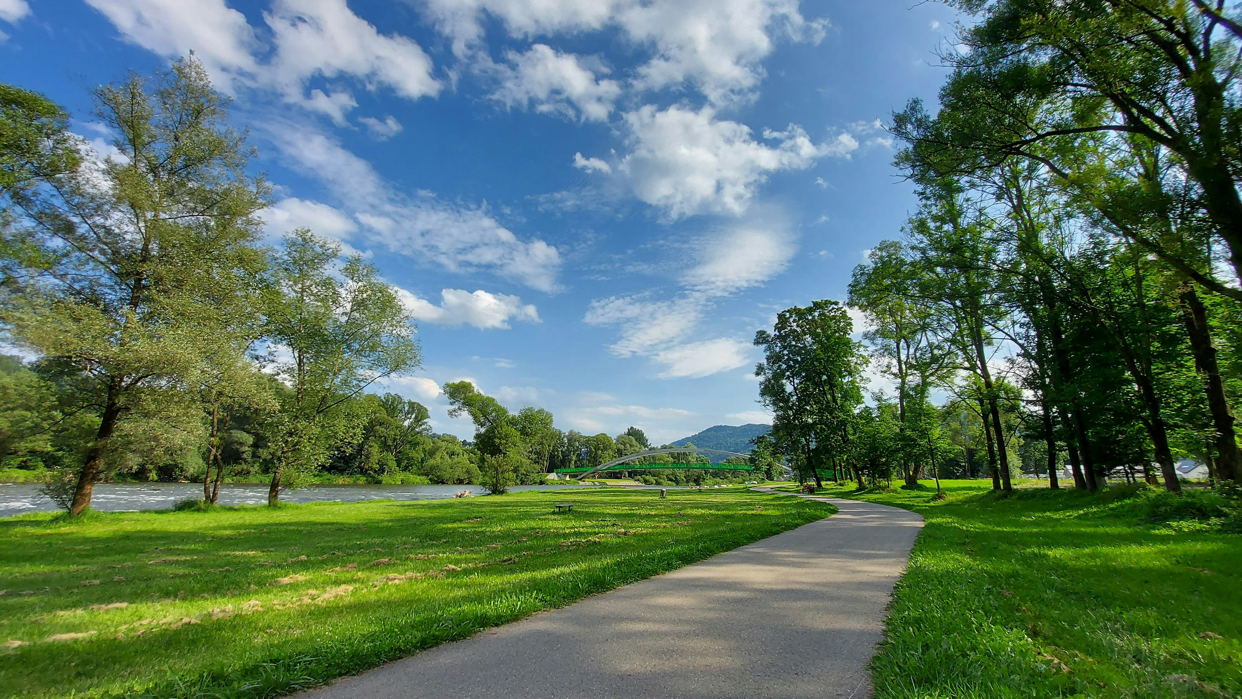 green grass field under blue sky during daytime