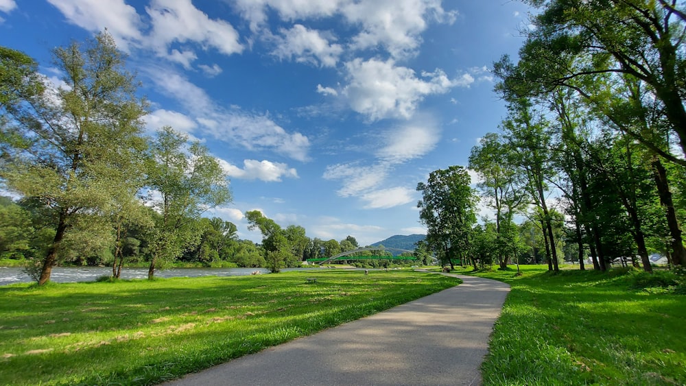 green grass field under blue sky during daytime