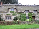 A charming stone cottage with a traditional thatched roof, surrounded by lush greenery and climbing vines. The cottage features small, leaded glass windows and a wooden door, complemented by a well-kept garden with green plants and shrubbery in front.