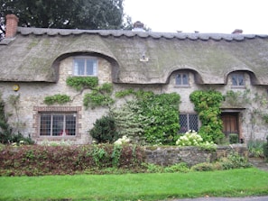 A charming stone cottage with a traditional thatched roof, surrounded by lush greenery and climbing vines. The cottage features small, leaded glass windows and a wooden door, complemented by a well-kept garden with green plants and shrubbery in front.