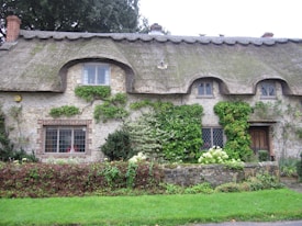 A charming stone cottage with a traditional thatched roof, surrounded by lush greenery and climbing vines. The cottage features small, leaded glass windows and a wooden door, complemented by a well-kept garden with green plants and shrubbery in front.