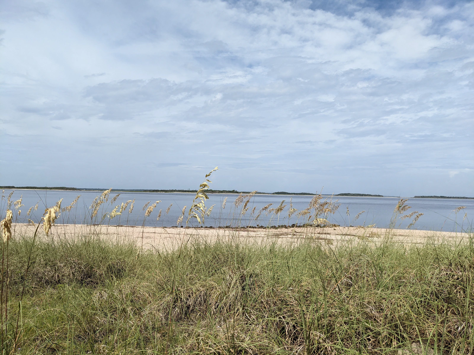 The Ritz-Carlton, Amelia Island Debuts New Signature Experiences