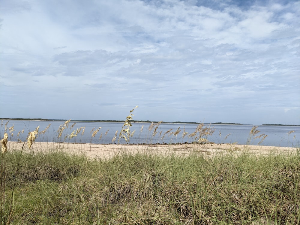 brown wooden fence on green grass field under white clouds during daytime