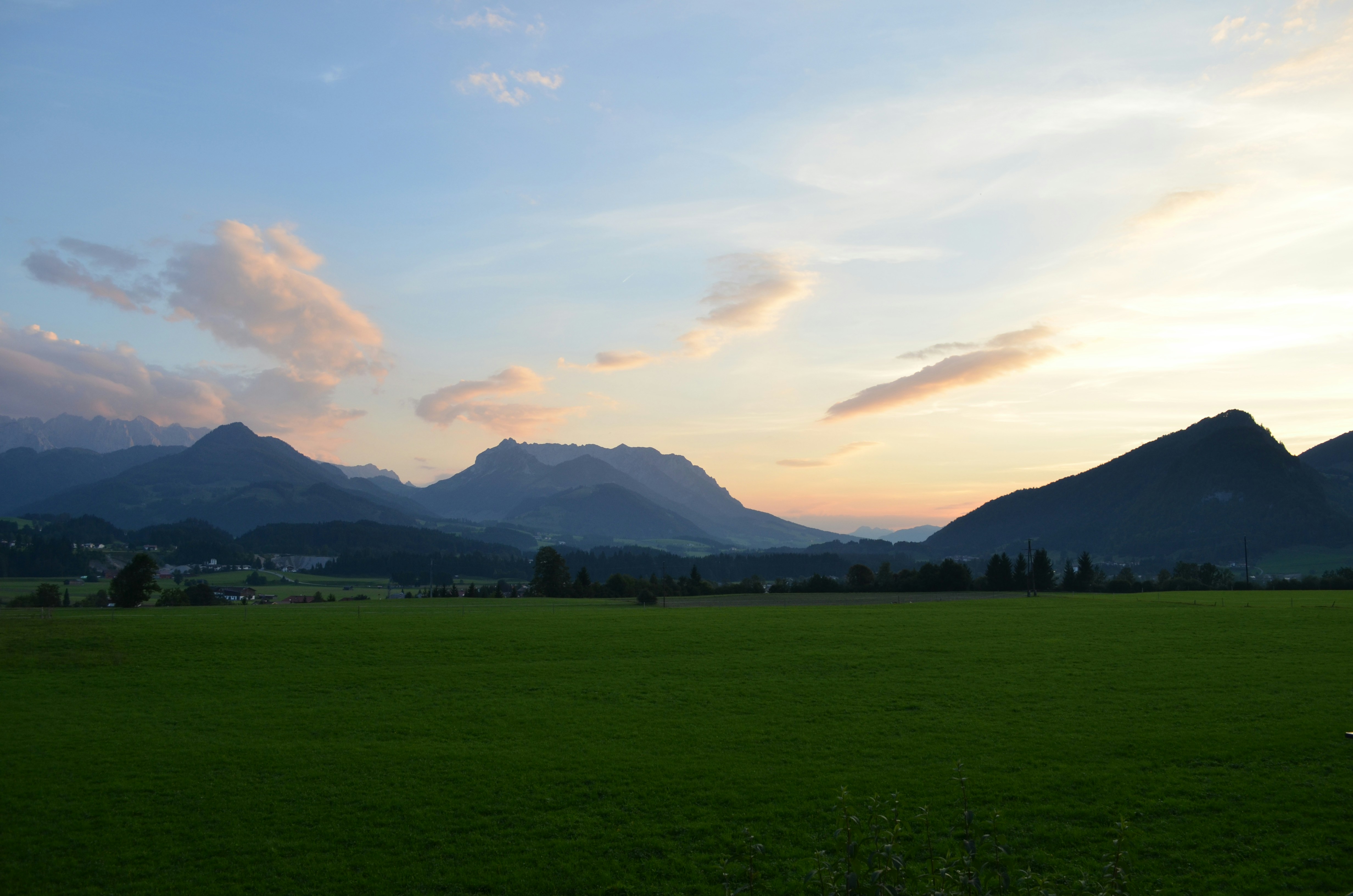 Grüne Rasenwiese unter bewölktem Himmel tagsüber