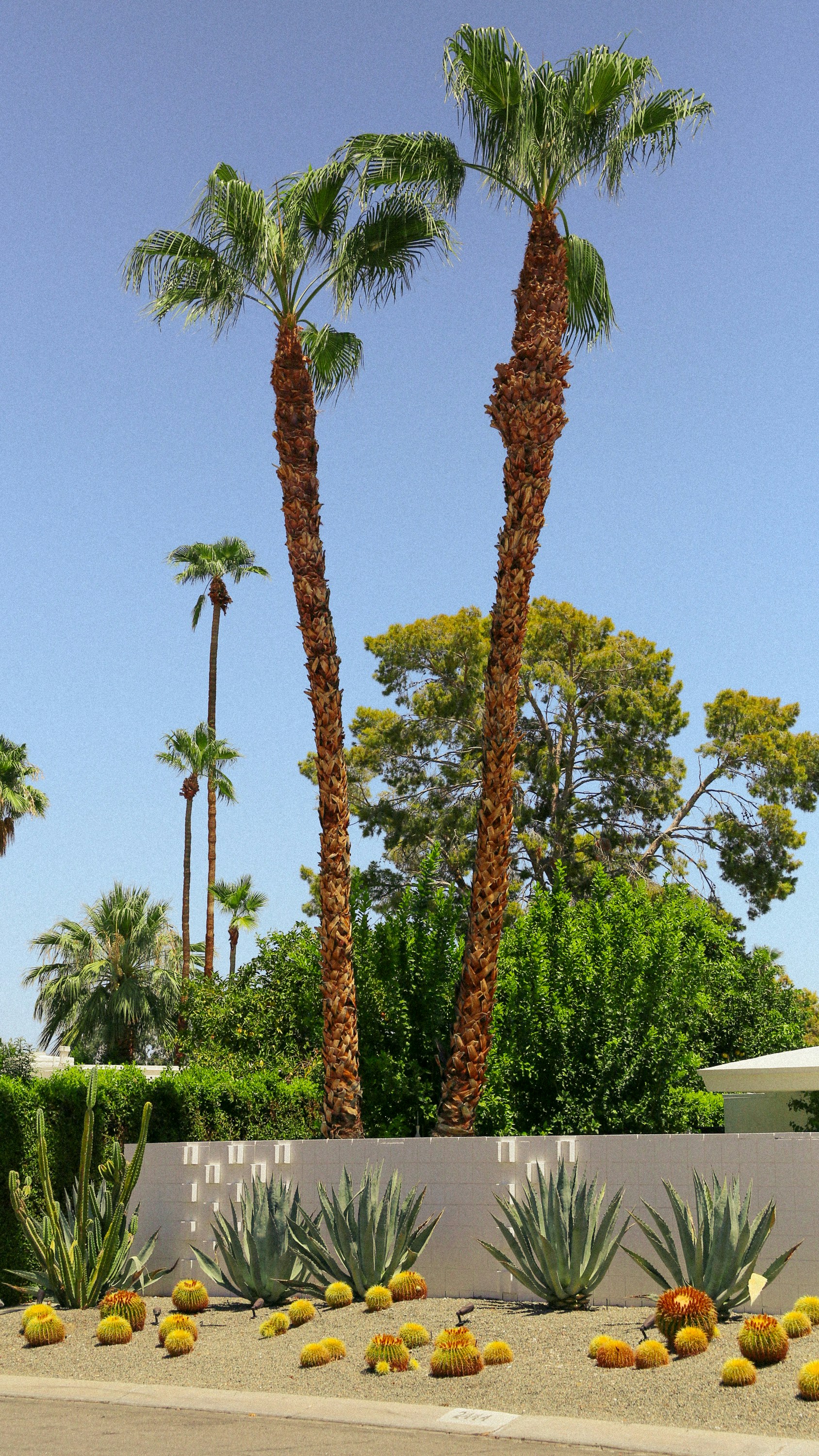 Délimitation de jardin