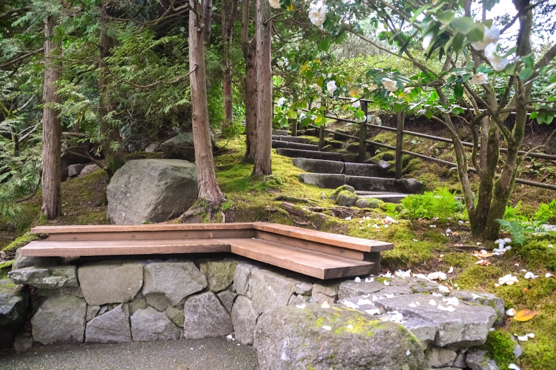 brown wooden bench near green trees during daytime