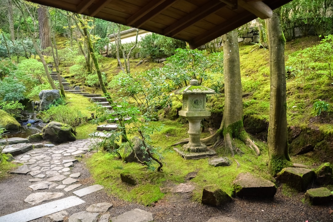 green water fountain near brown wooden house