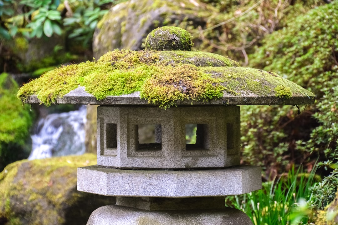 grey concrete tomb with yellow moss on top