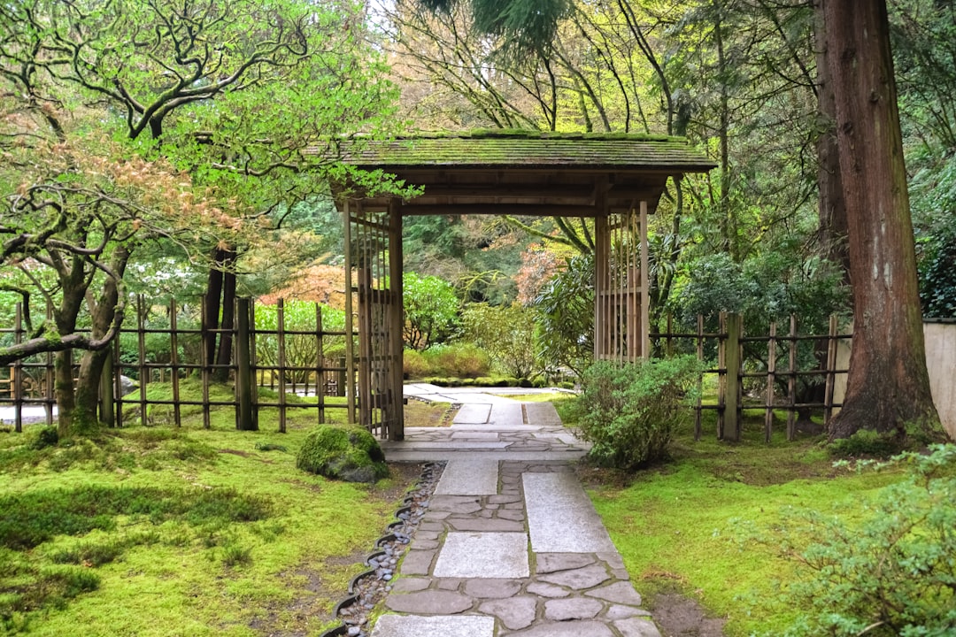 brown wooden arch surrounded by green trees during daytime