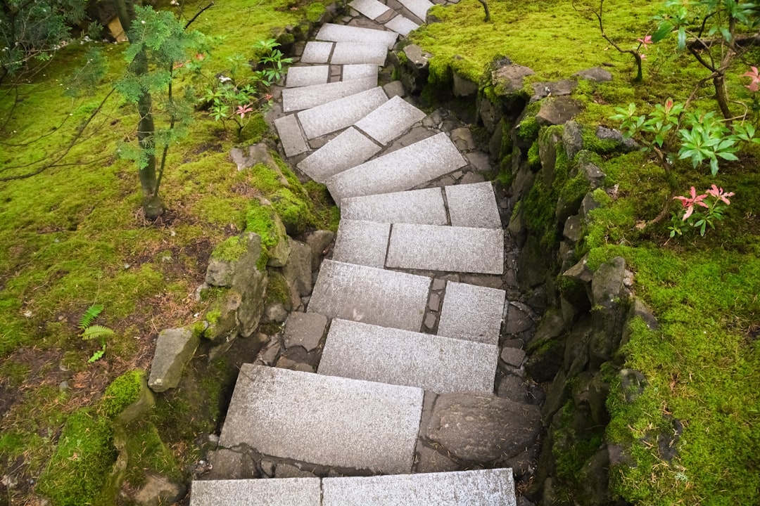 gray concrete stairs on green grass field