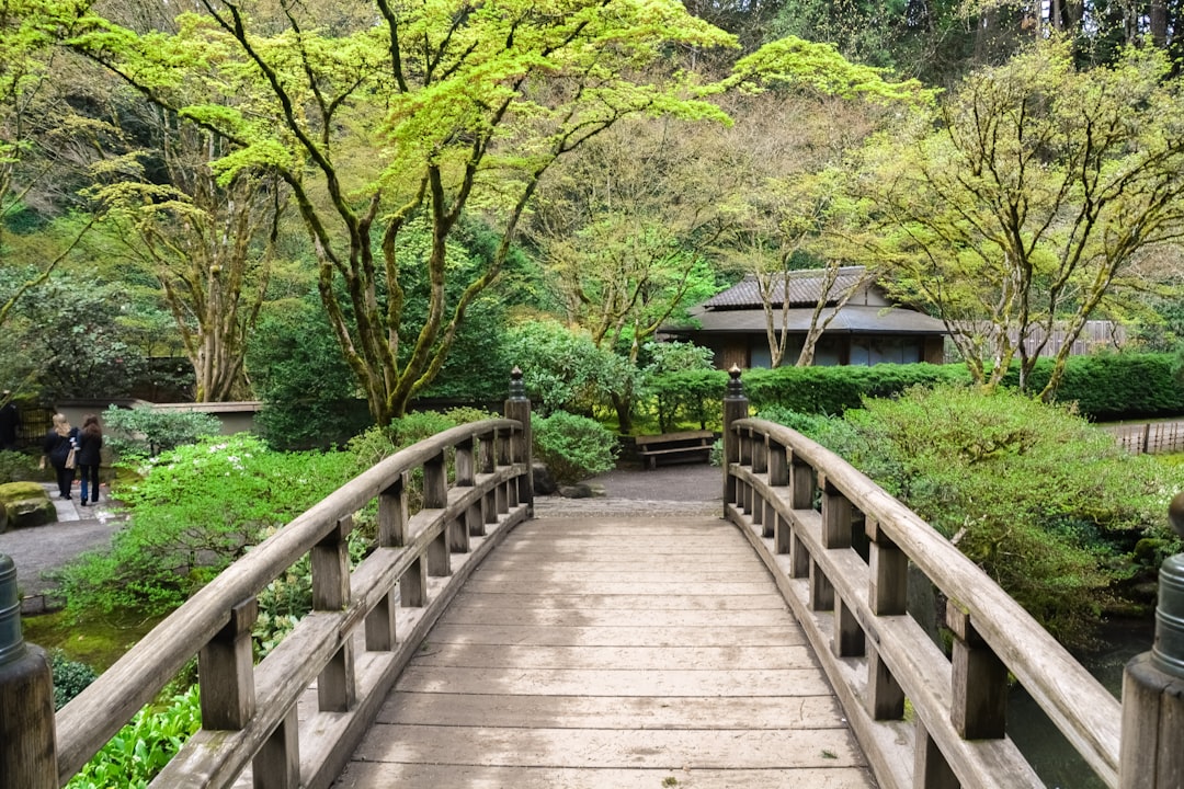 brown wooden bridge in between green trees during daytime