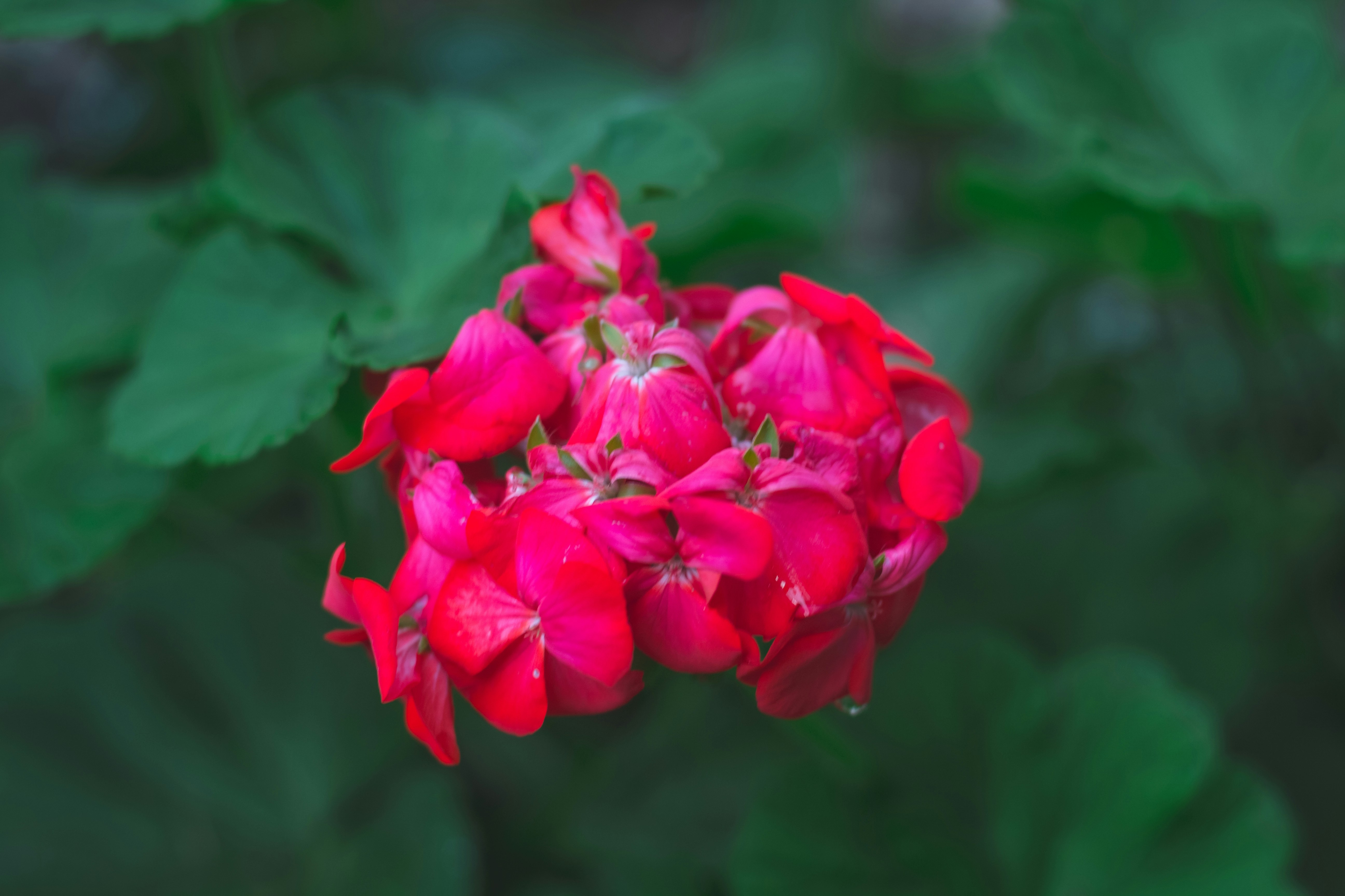 Photo by eduardopastor