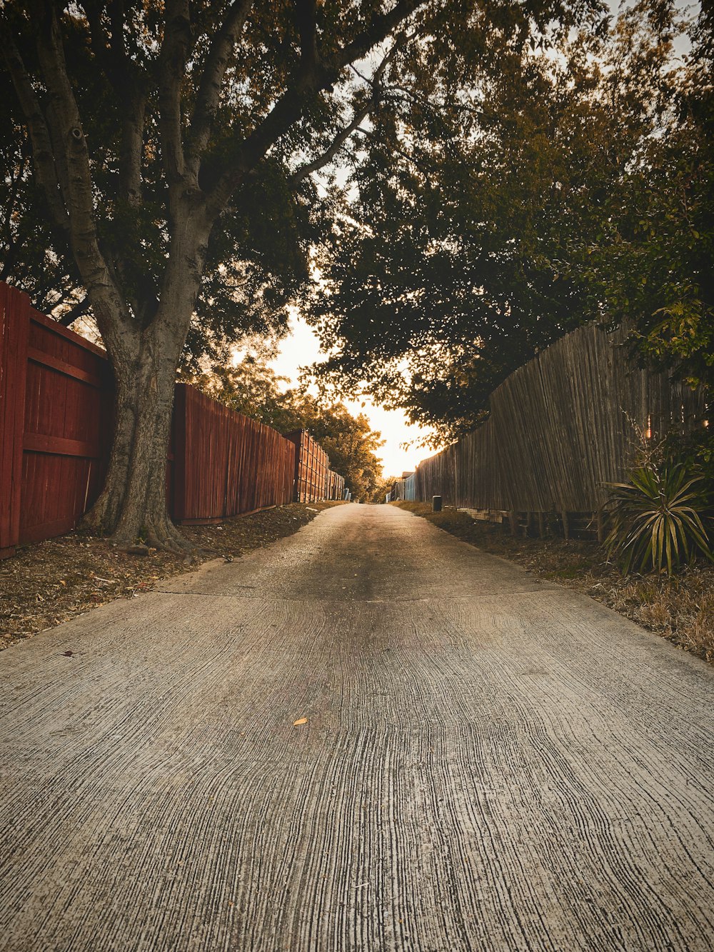 brown wooden fence near green trees during daytime