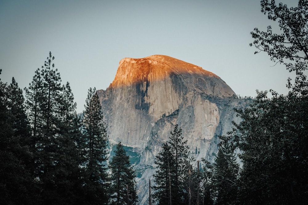 brown rocky mountain with green pine trees