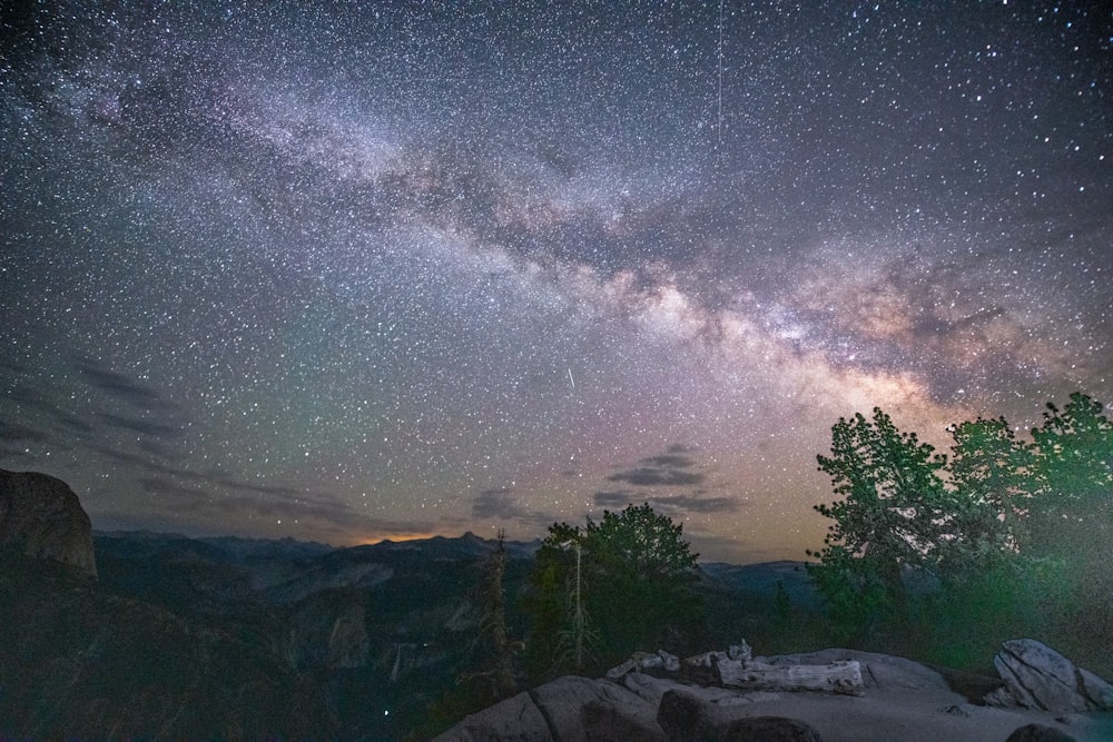 green trees under starry night