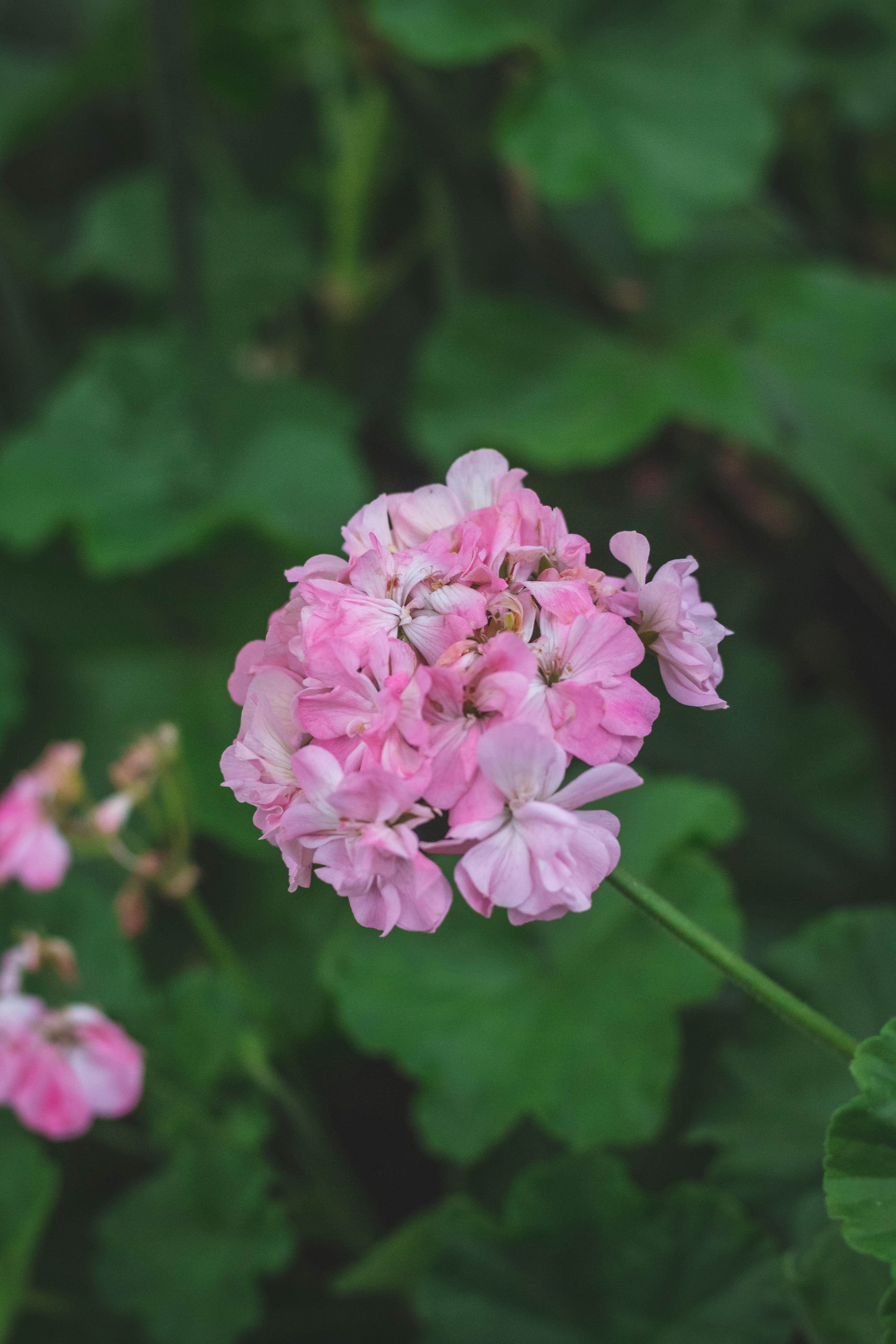 Photo by eduardopastor