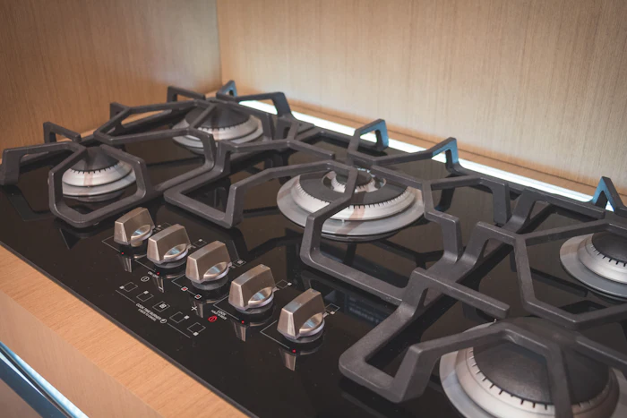 LPG gas appliance with burners