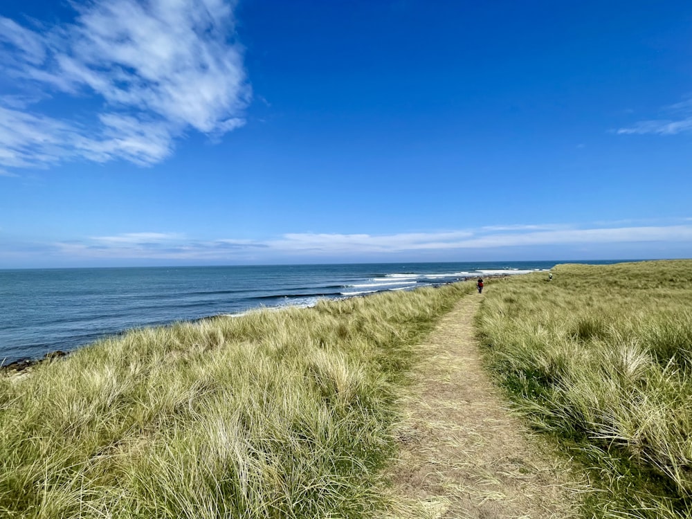 Person, die tagsüber auf einem grünen Grasfeld in der Nähe des Meeres unter blauem Himmel spazieren geht