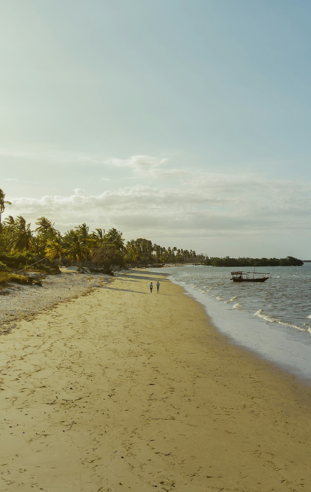 people on beach during daytime