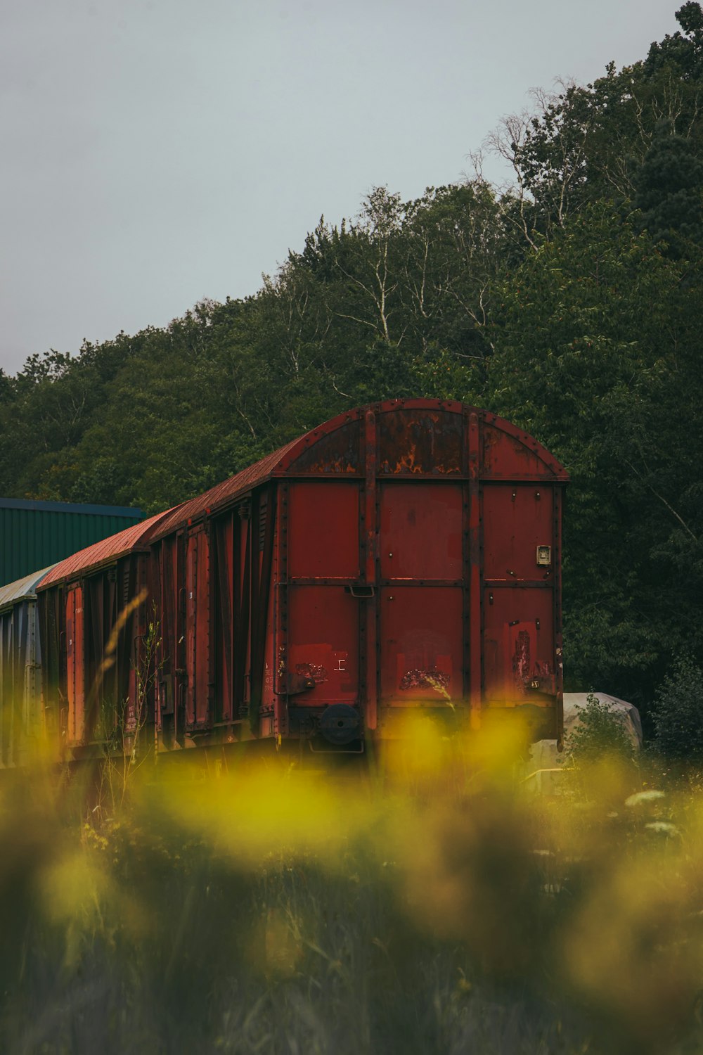 red and yellow train on green grass field during daytime