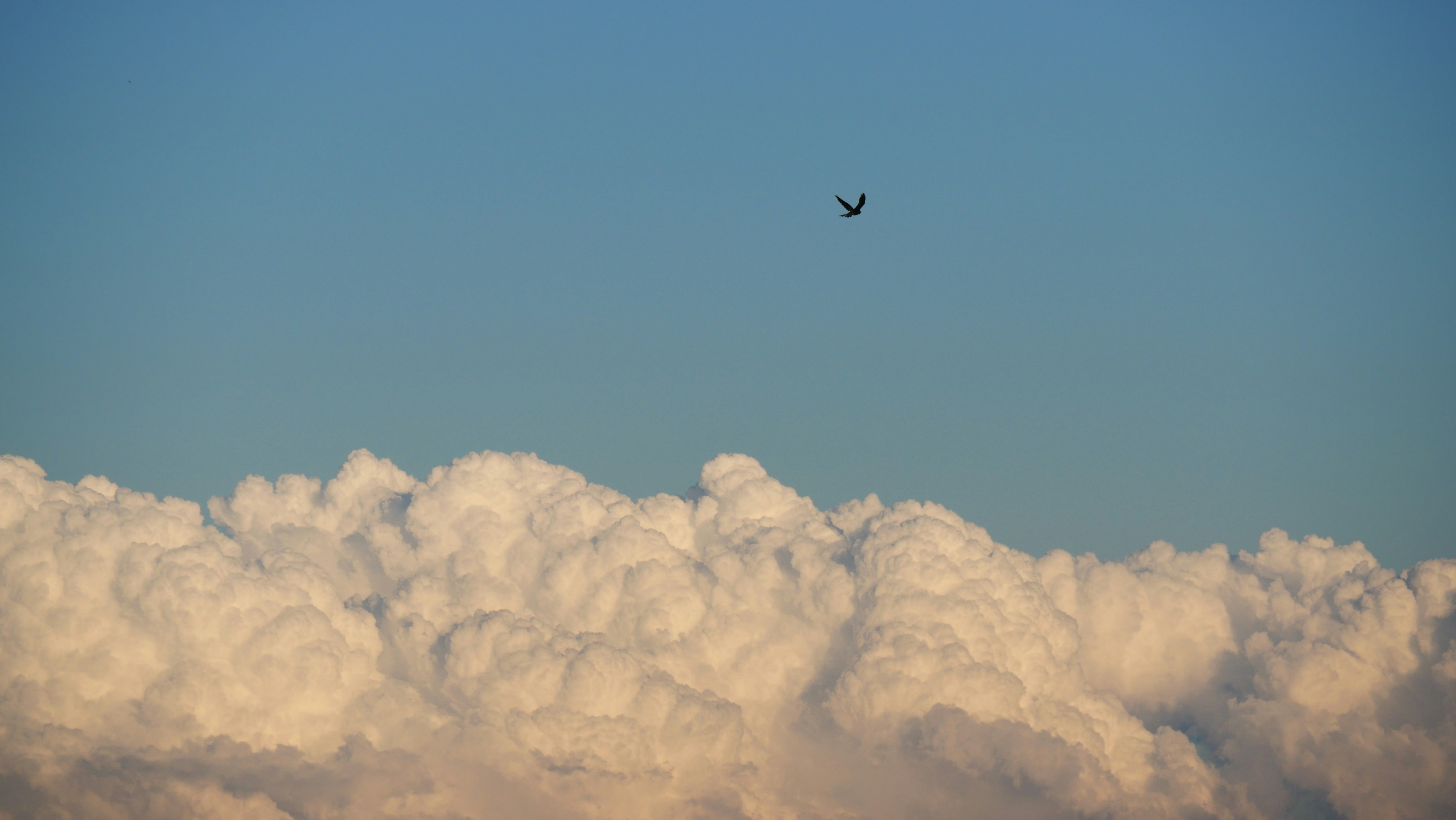 Photo by nimbus_vulpis