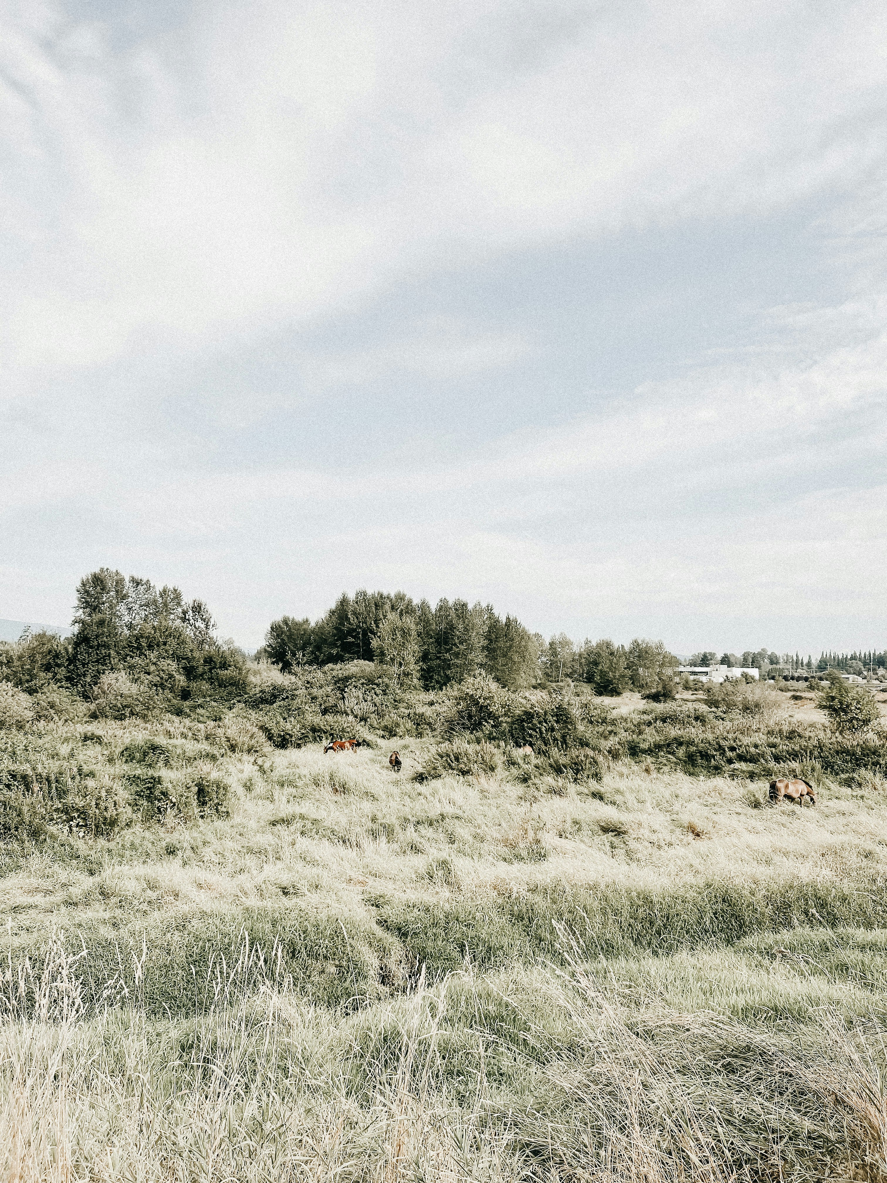 Photo by laurynkelman