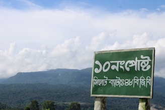 green and white wooden signage
