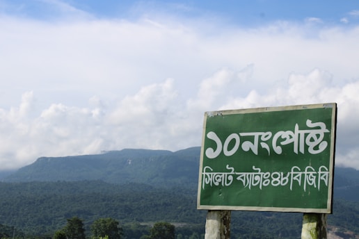 green and white wooden signage