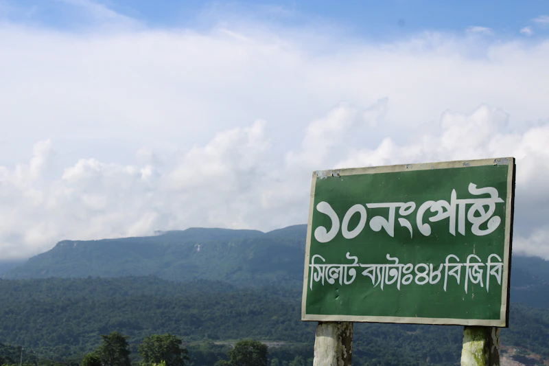 Best Eco-Friendly Resorts and Sustainable Stays in Kemmangundi