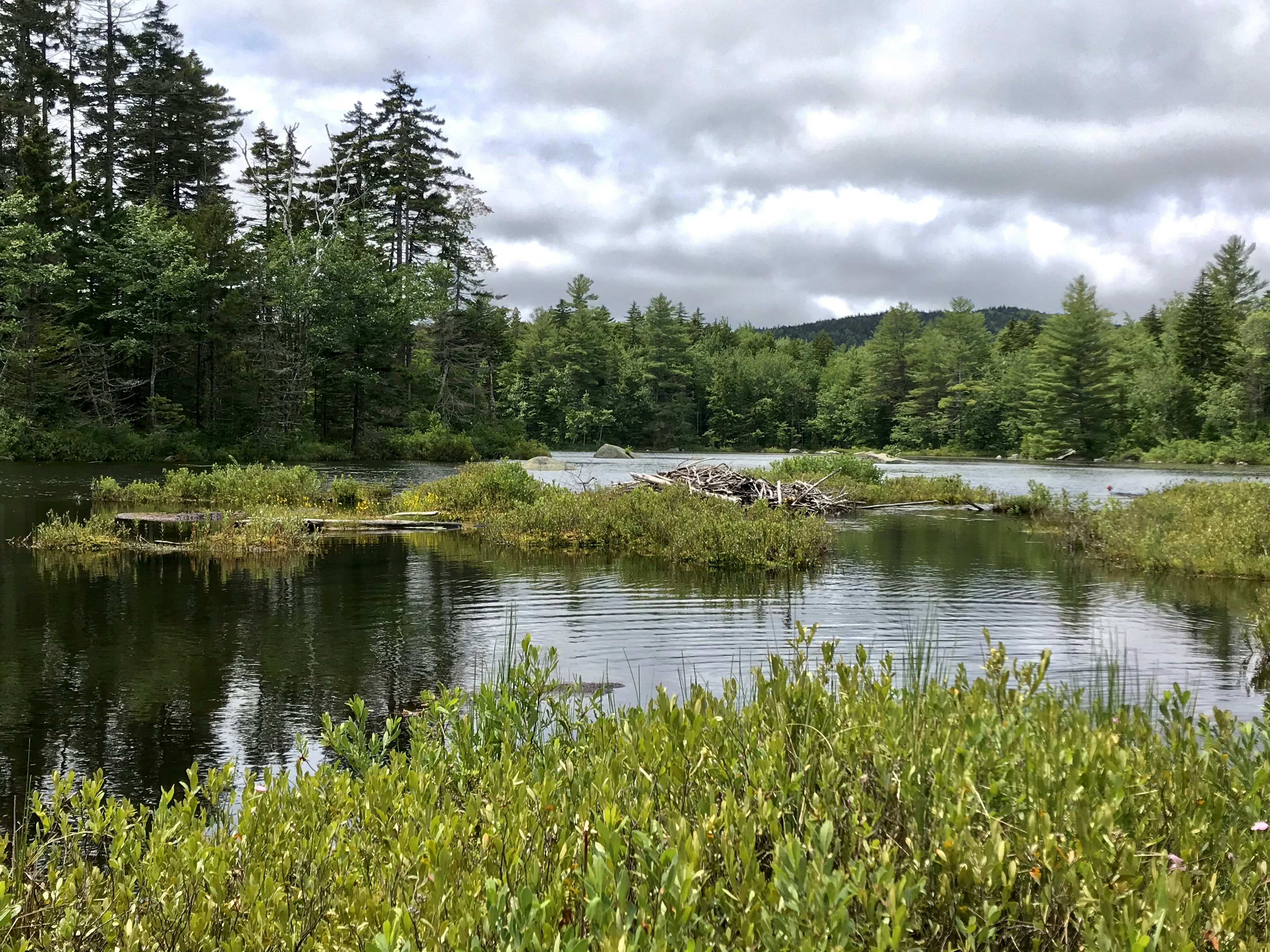 Boggs Township, Pennsylvania