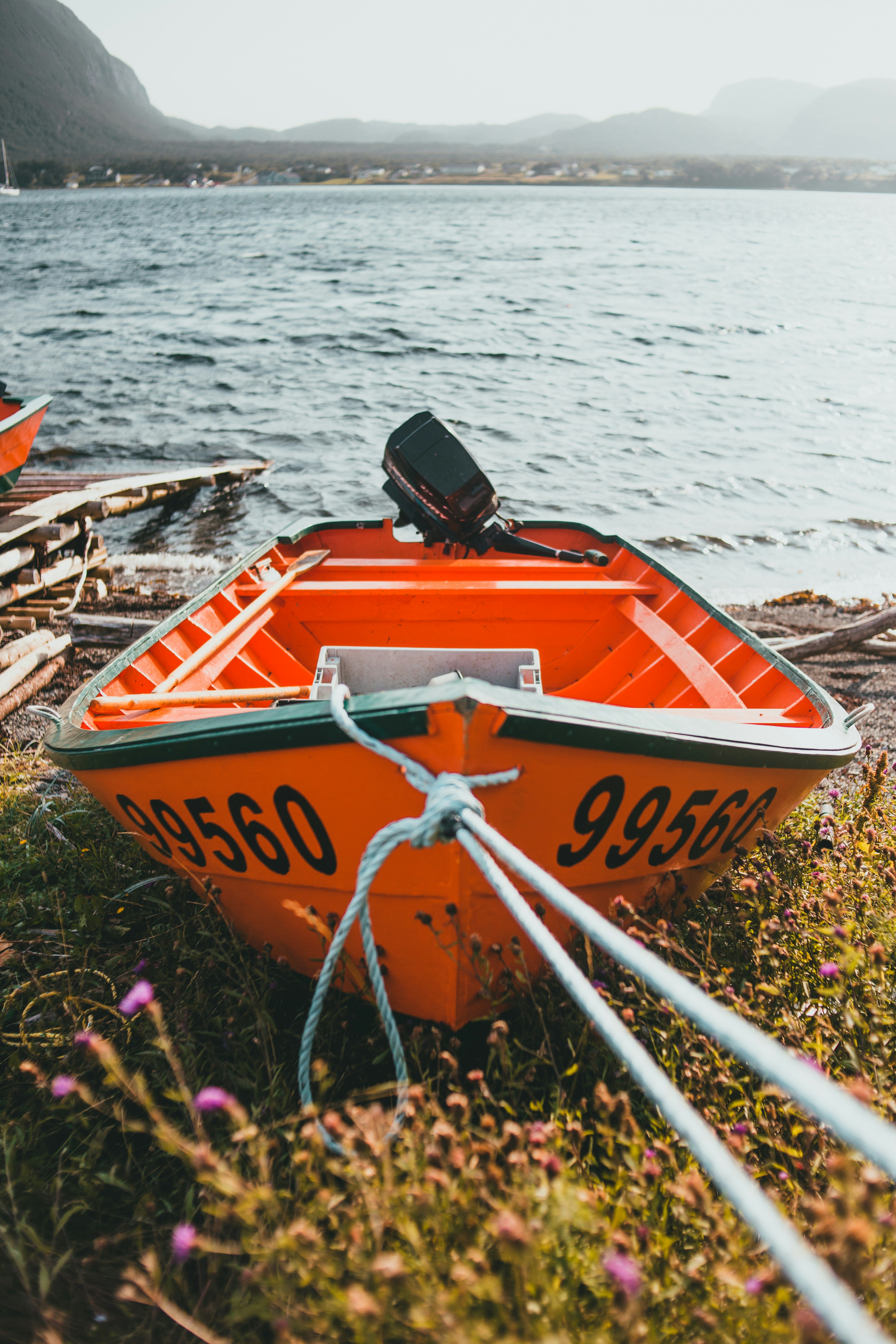 Photo by introspectivedsgn