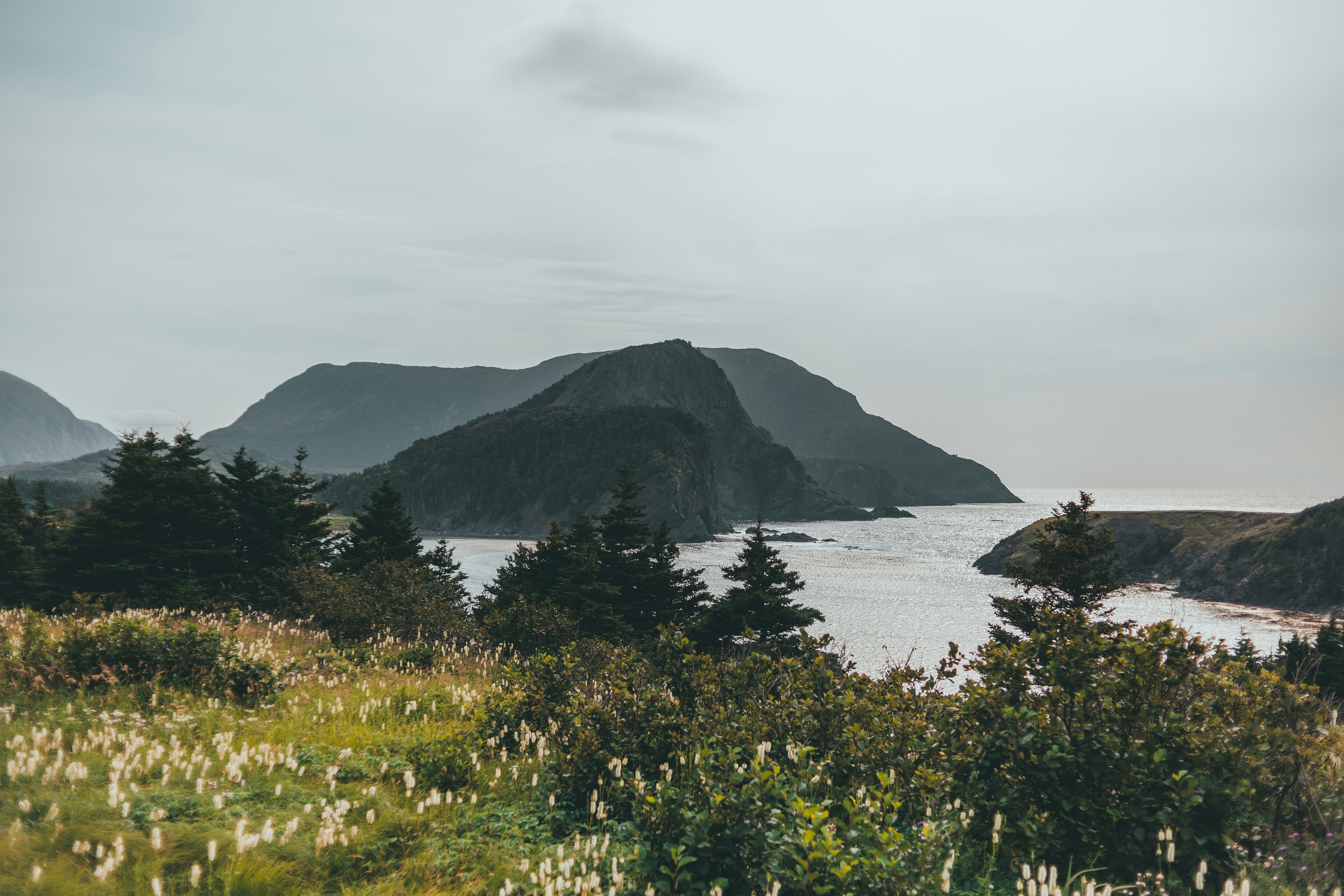 Photo by introspectivedsgn