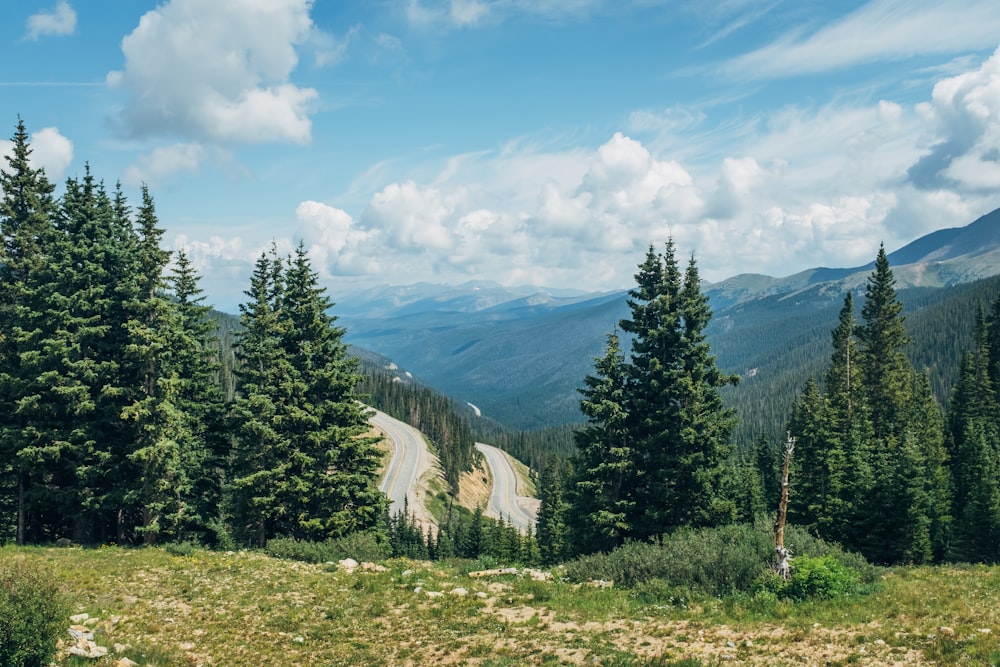 green pine trees near mountain under blue sky during daytime