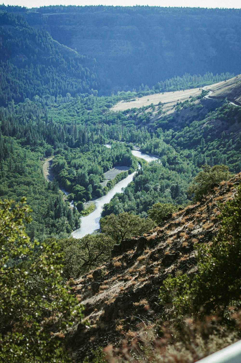 green trees on mountain during daytime