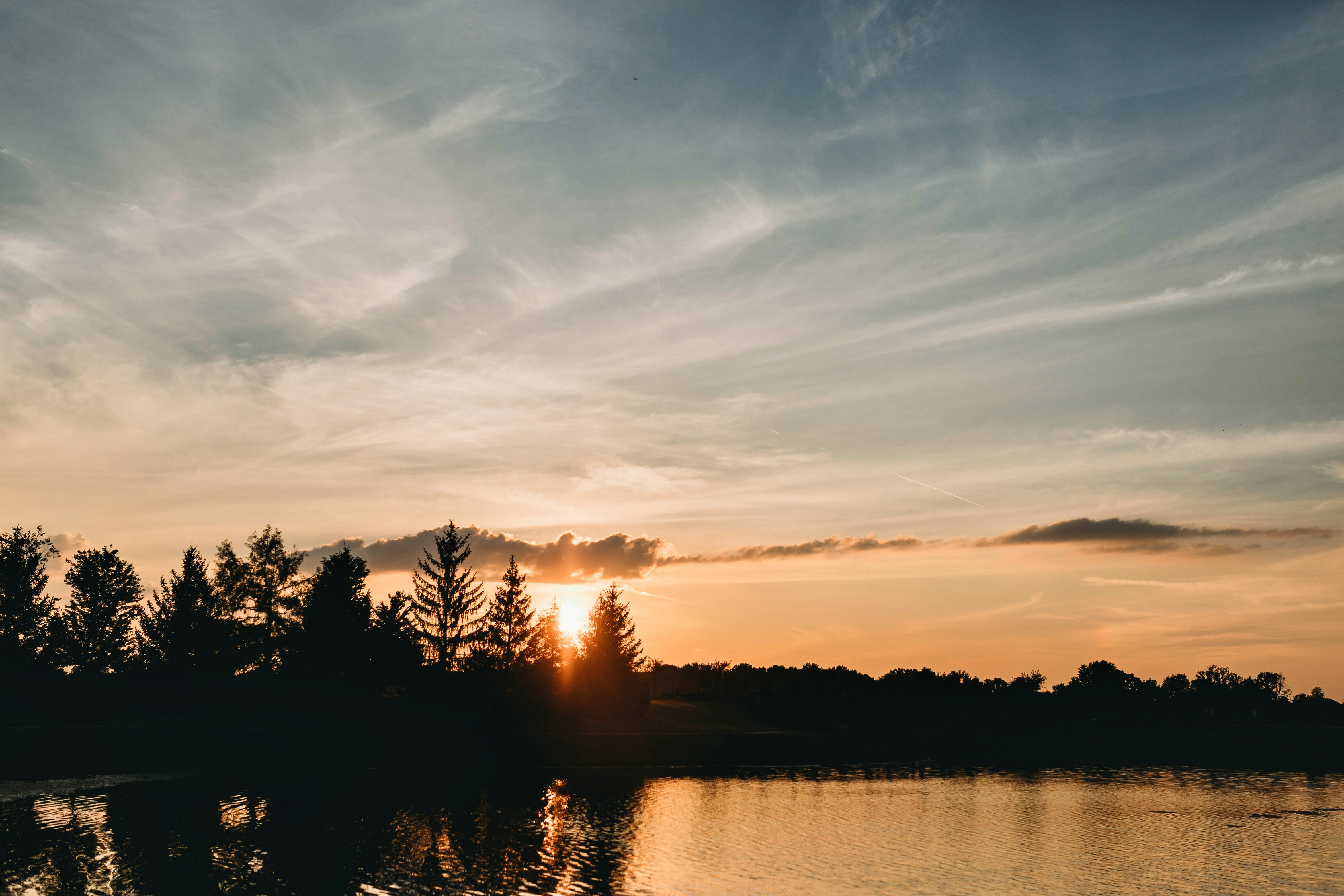 silhouette of trees near body of water during sunset